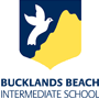 中学 - Bucklands Beach Intermediate School 巴克兰兹比奇中学